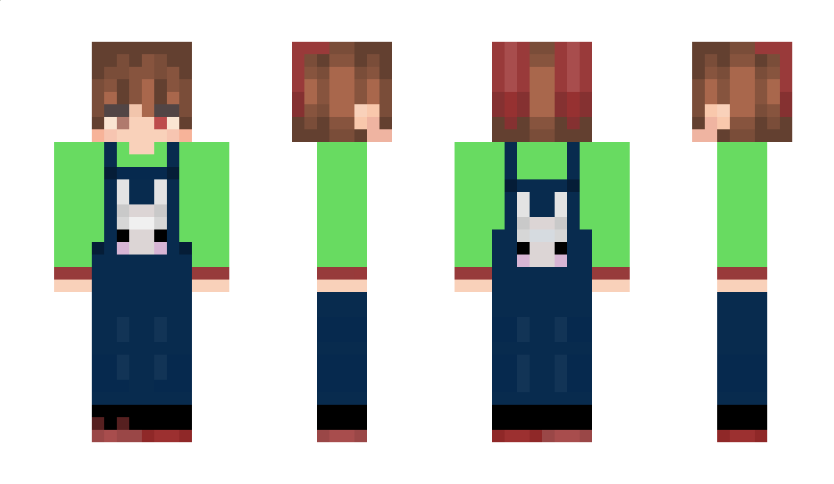 dupldomko3 Minecraft Skin