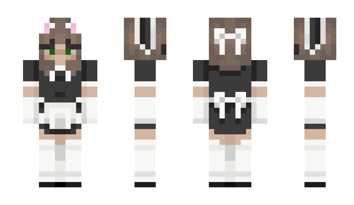 bushriri Minecraft Skin