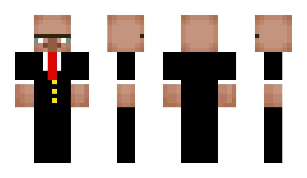 FussyKitten Minecraft Skin