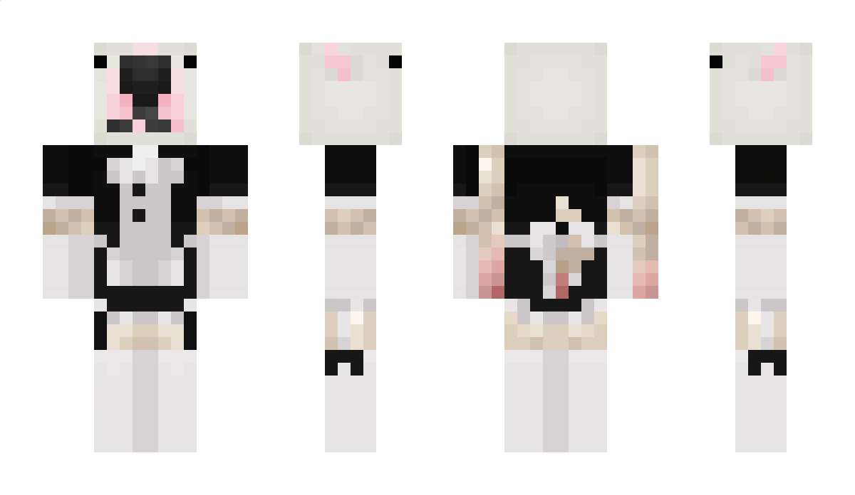 IcedNerd Minecraft Skin