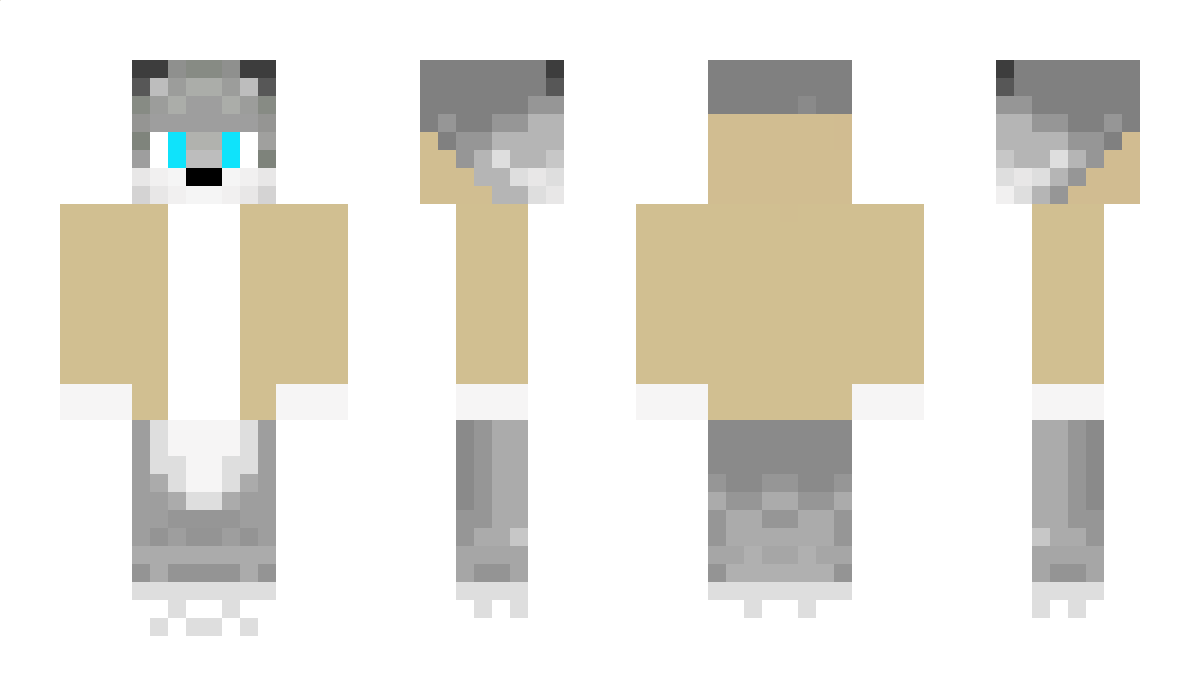 craftboy1 Minecraft Skin