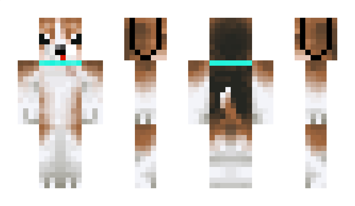 Gatchi_orcadog Minecraft Skin