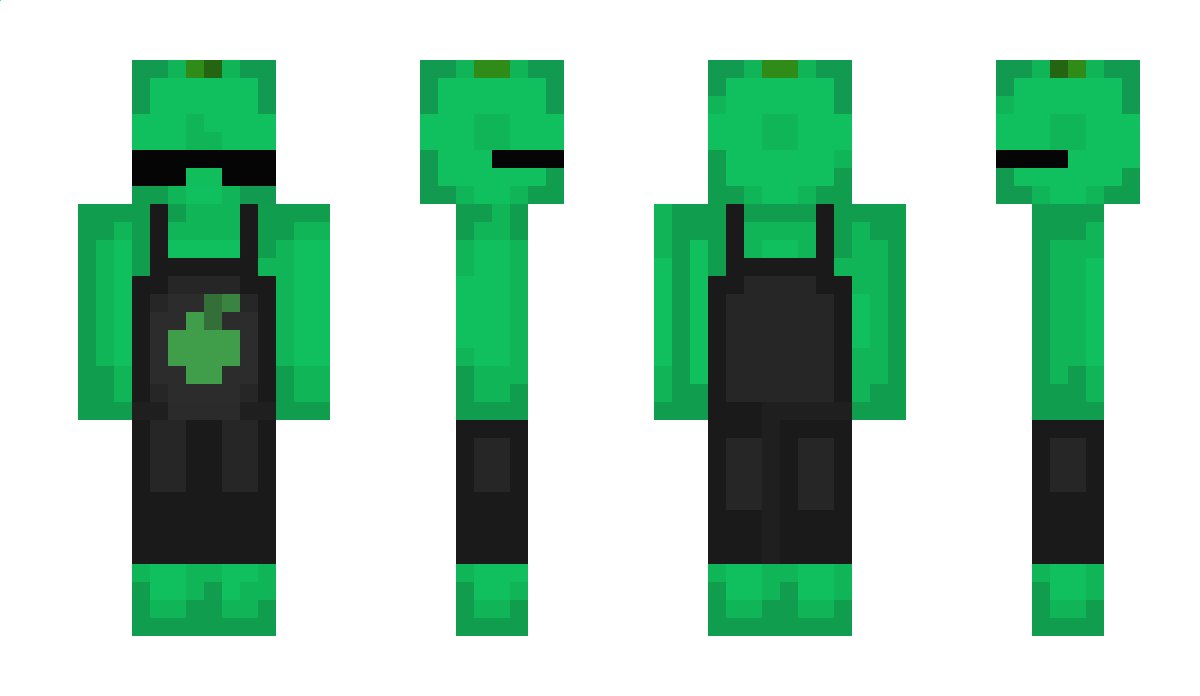 lilmeko Minecraft Skin