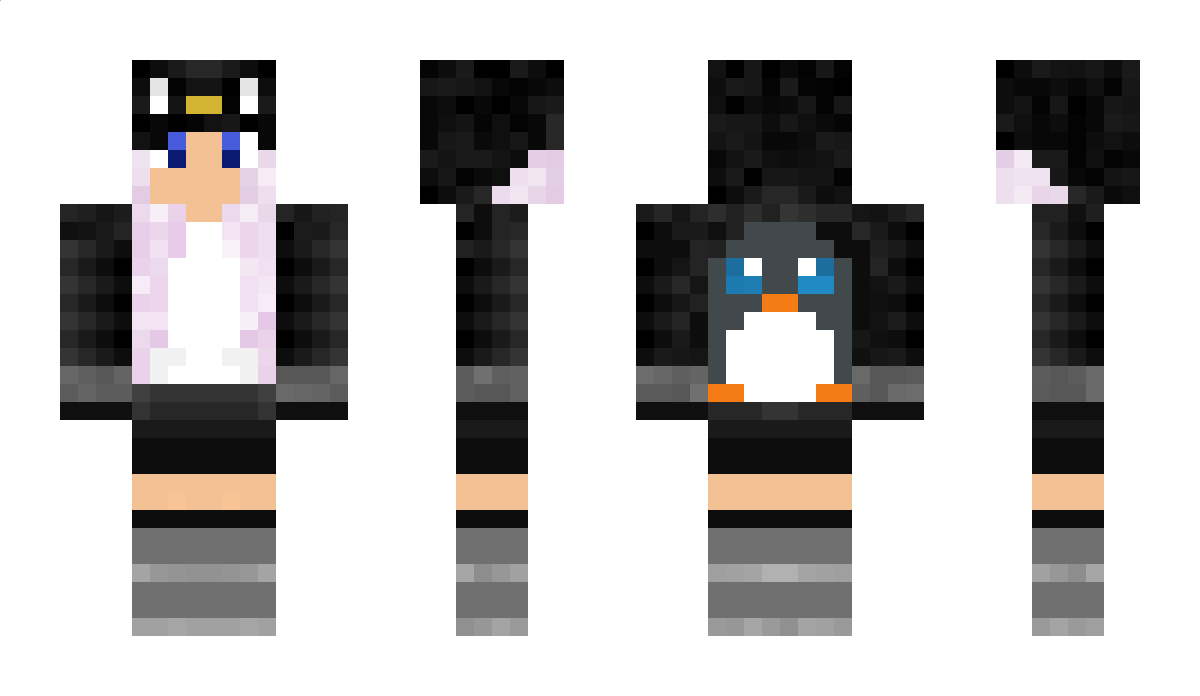 Lewdguin Minecraft Skin