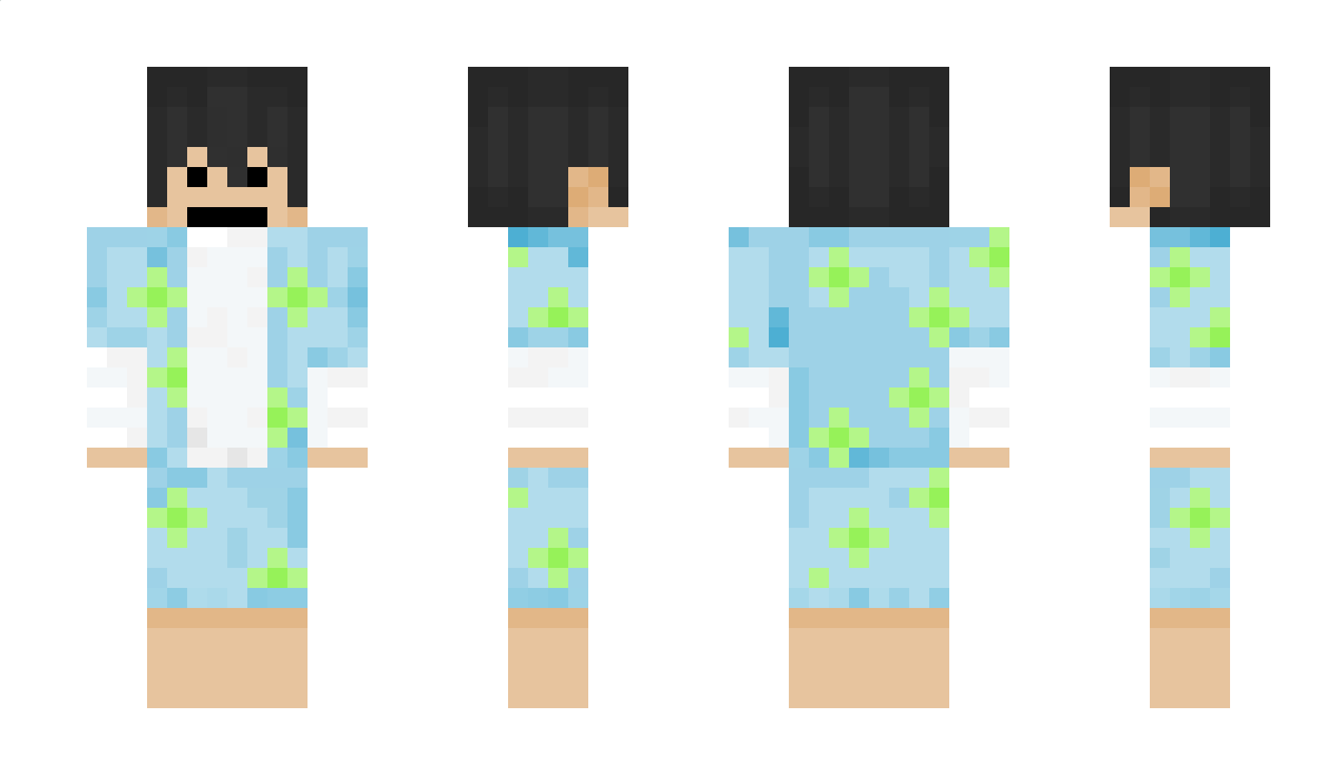 __Ishiro Minecraft Skin