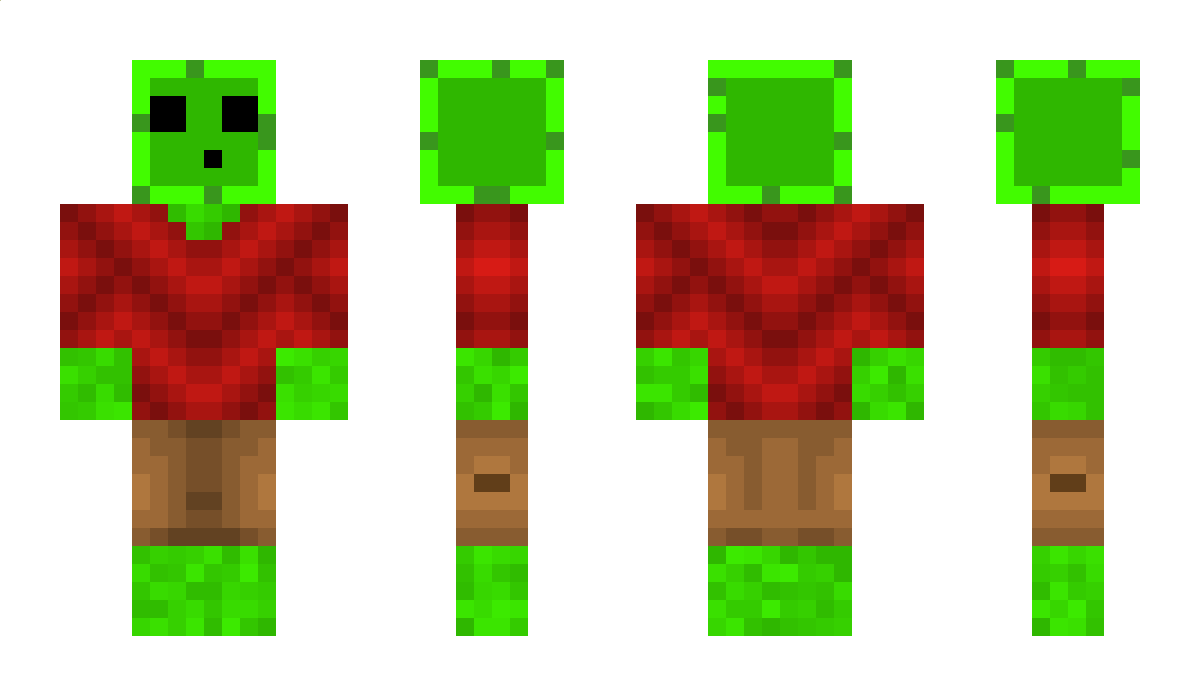 Nicolas__SK2 Minecraft Skin