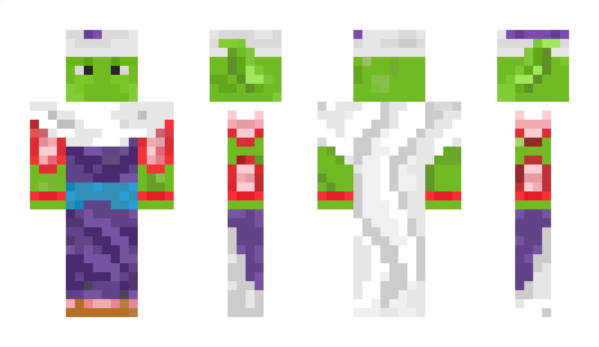 blouzy Minecraft Skin