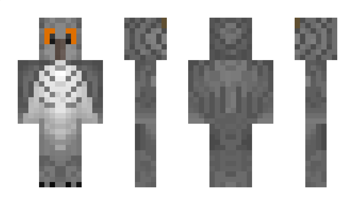 _ThunderXCloud Minecraft Skin