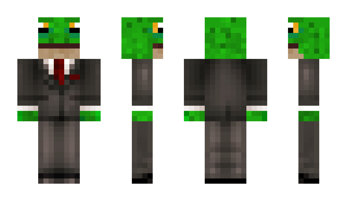 MRfrogy Minecraft Skin