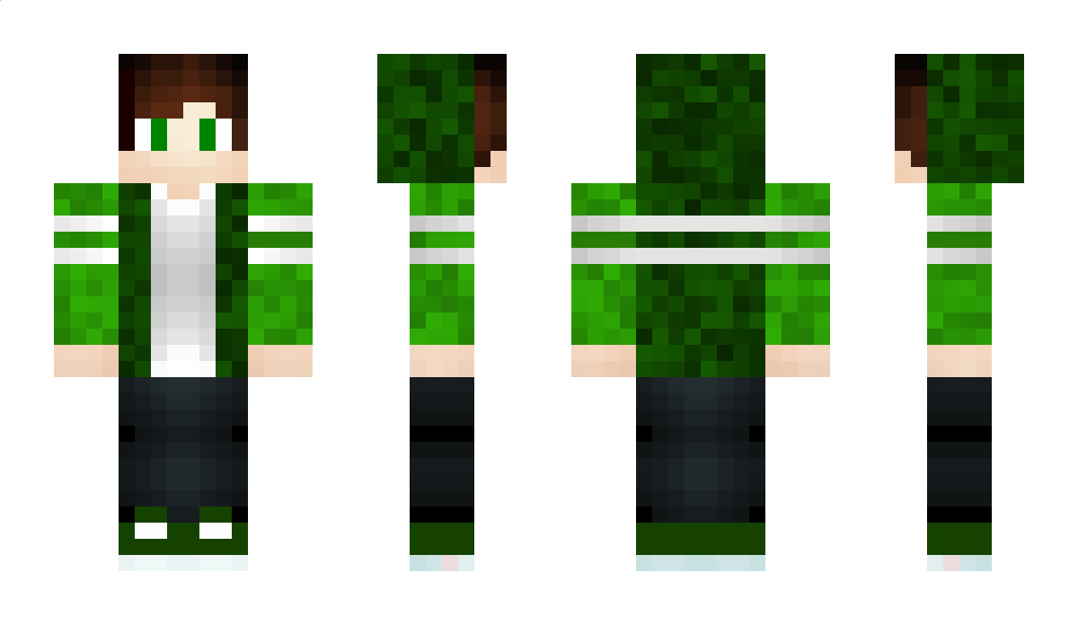 Texinho Minecraft Skin