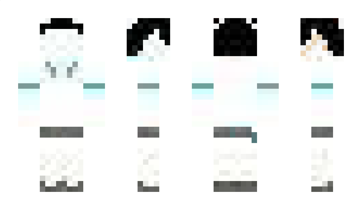 Ray1011333 Minecraft Skin