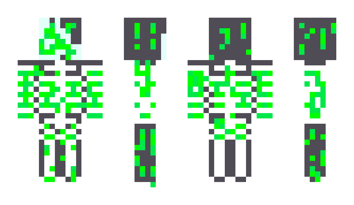 Asid15 Minecraft Skin