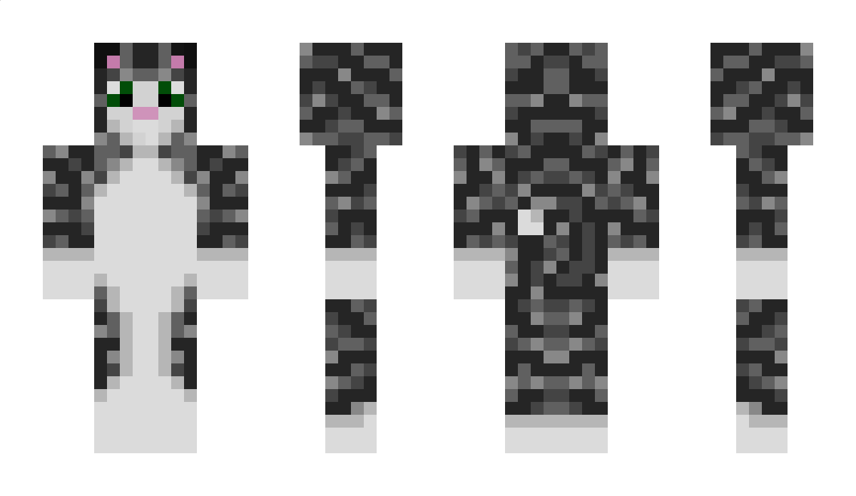 Hemmy Minecraft Skin