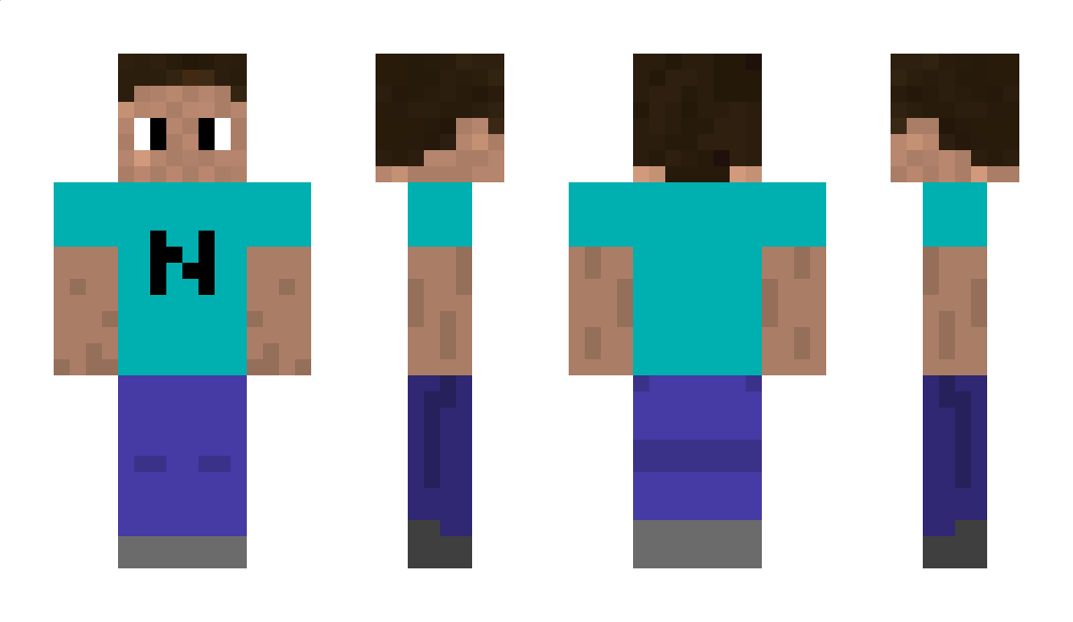 Swrly29 Minecraft Skin