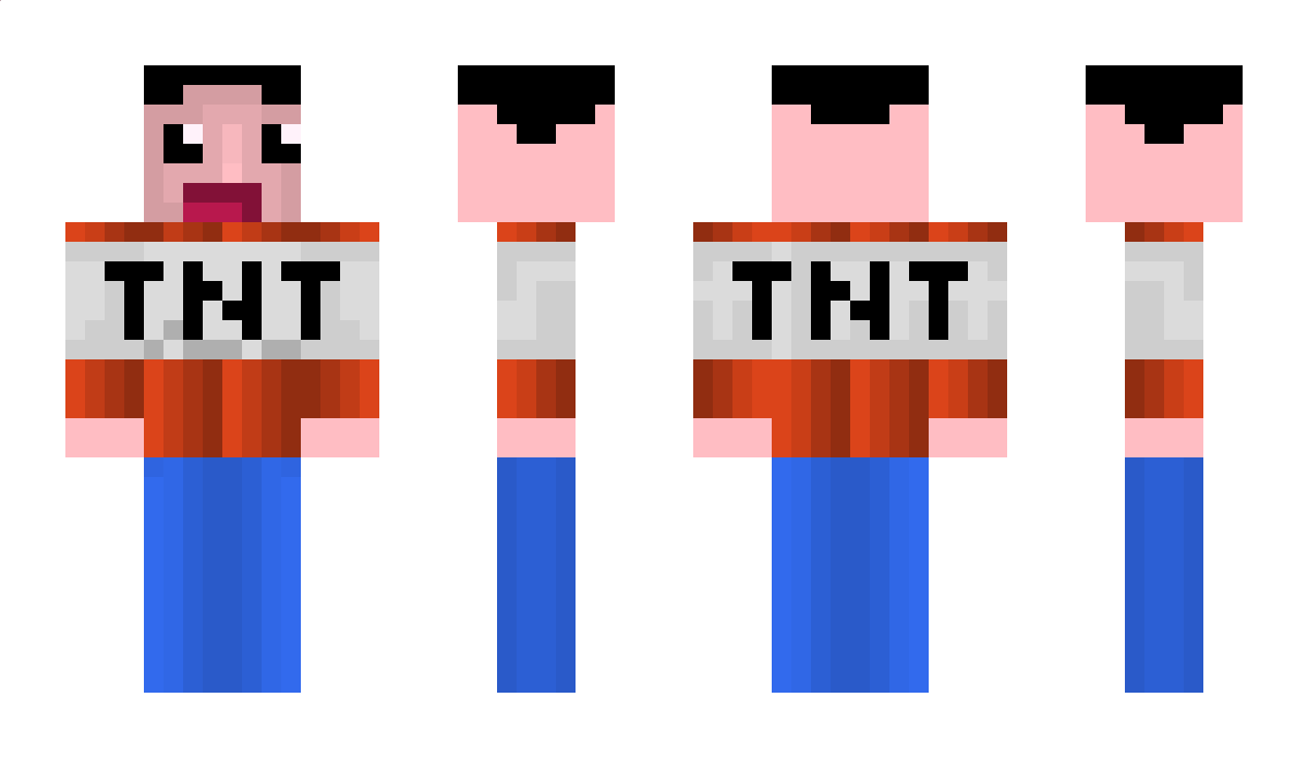 TomDEHAMOULEH Minecraft Skin