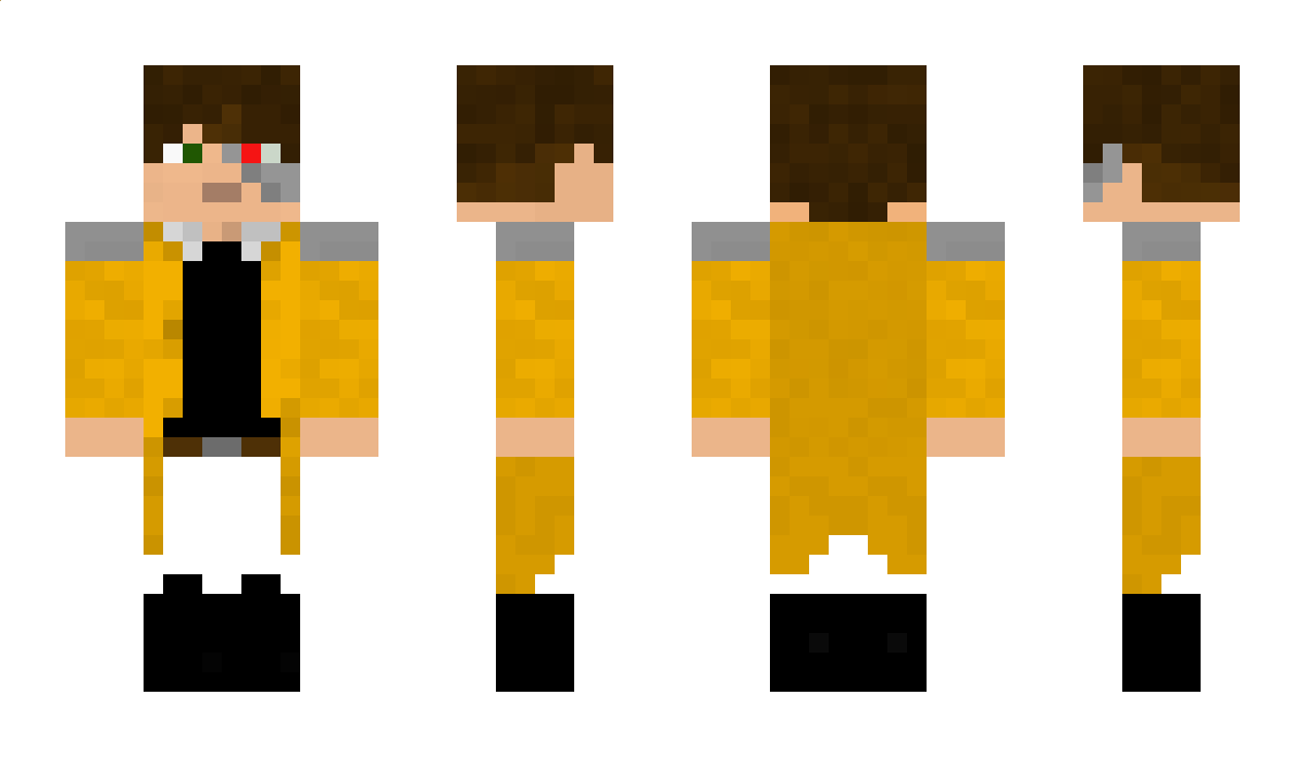 pansartax Minecraft Skin