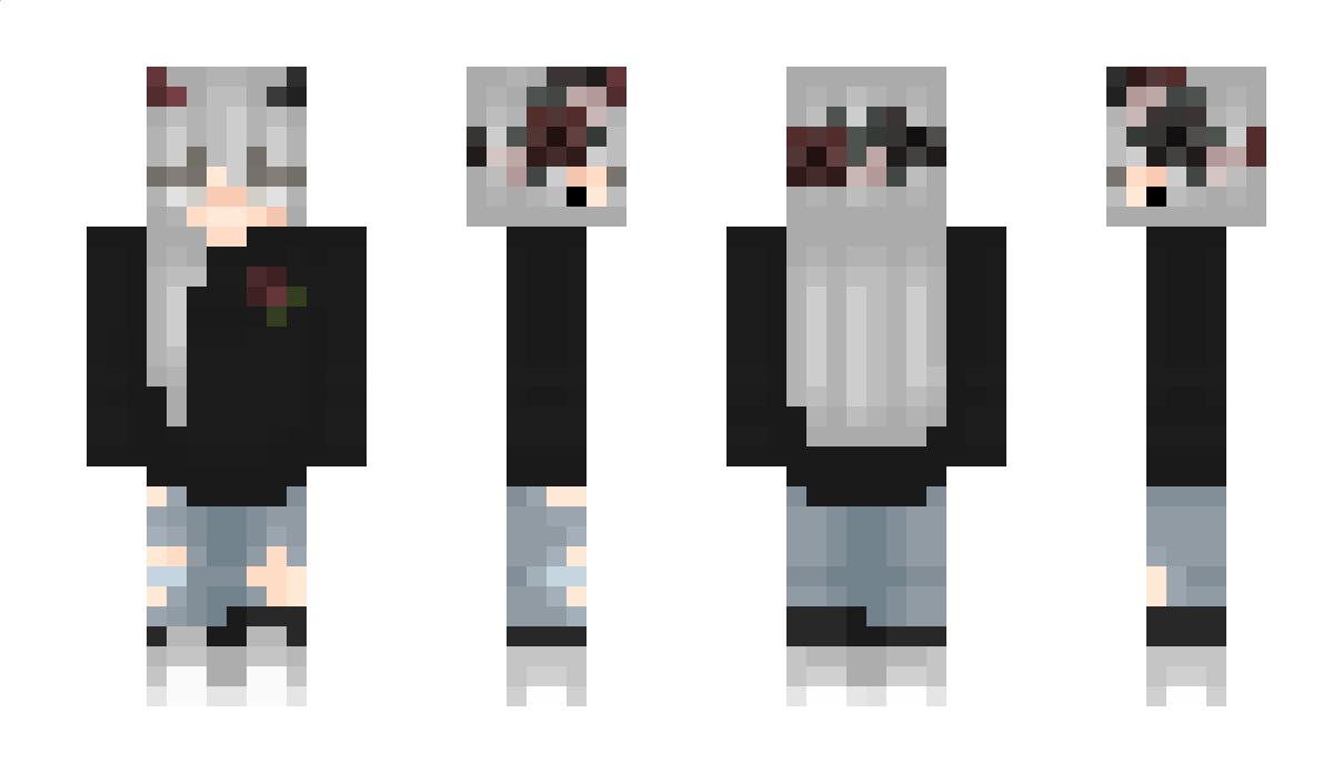 SternPro Minecraft Skin