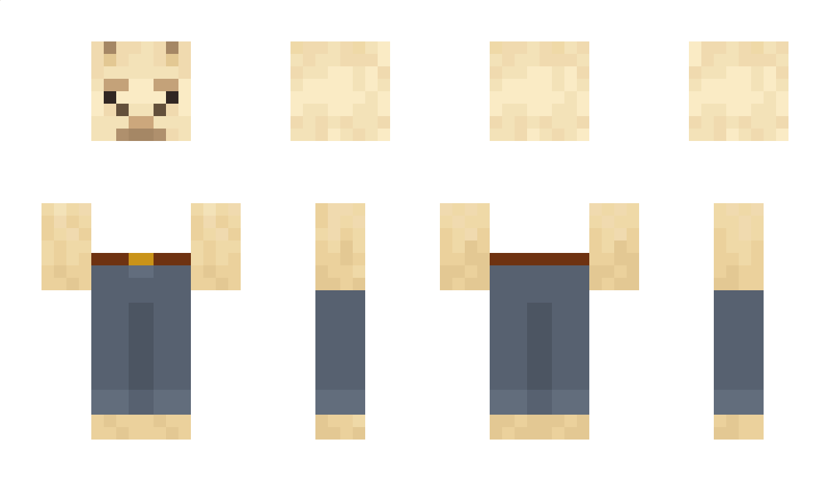 Ehrenlama Minecraft Skin