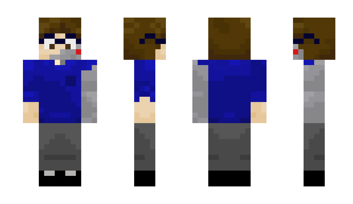 PR1SMS_ Minecraft Skin