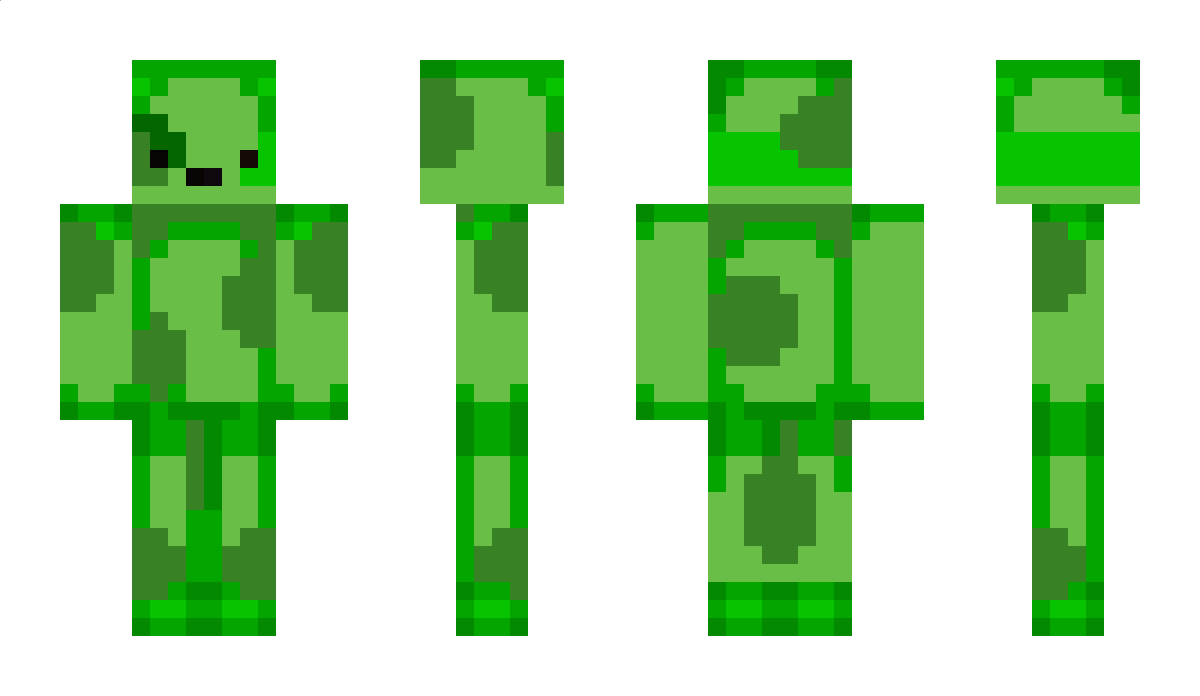 _____ON_____ Minecraft Skin