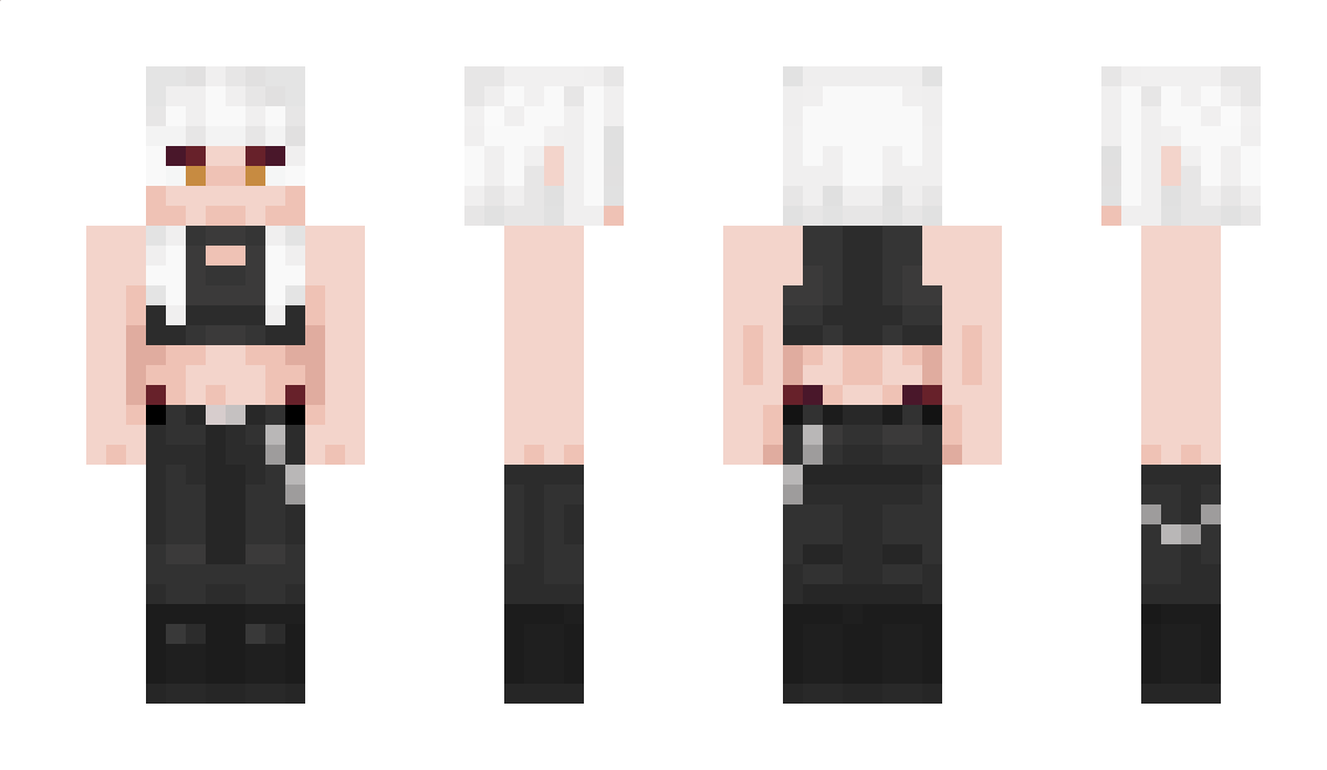 Vinyl_FR Minecraft Skin