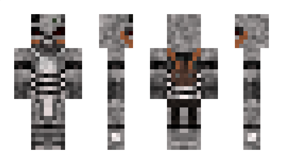 Antarktika Minecraft Skin