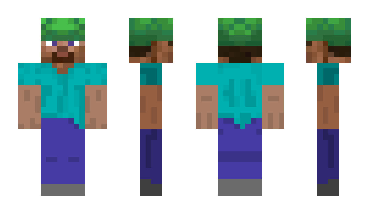 shelmet Minecraft Skin