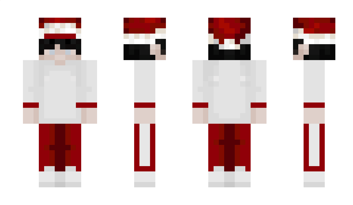 EinLouiis Minecraft Skin