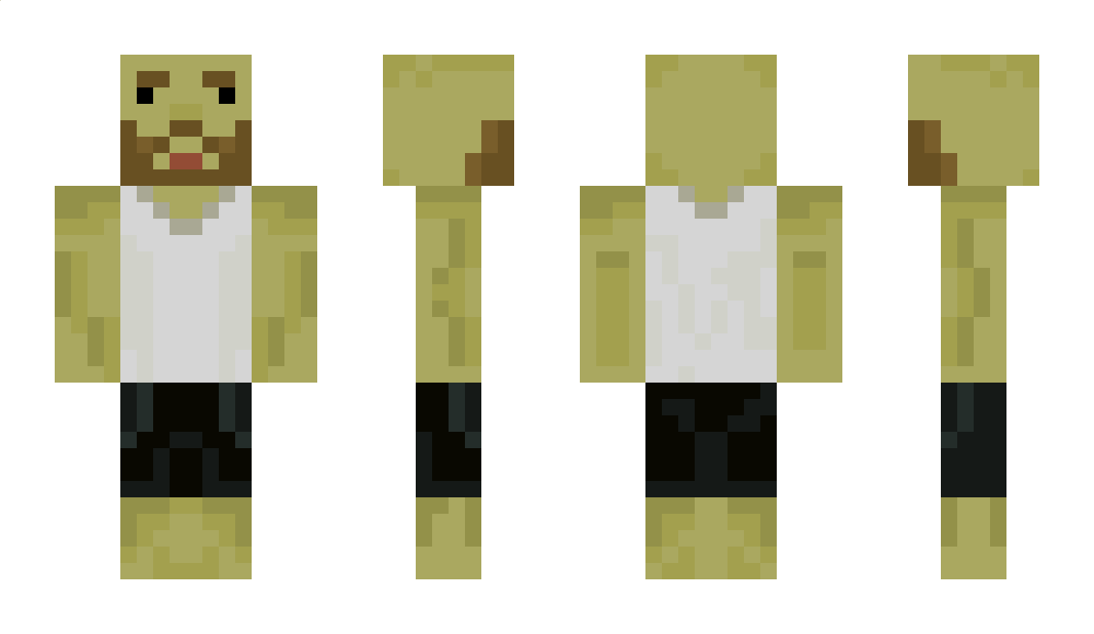 Diggit_2 Minecraft Skin