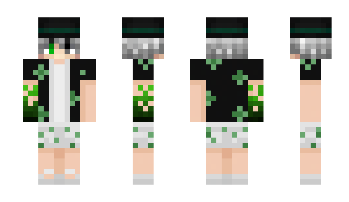 qhonk Minecraft Skin