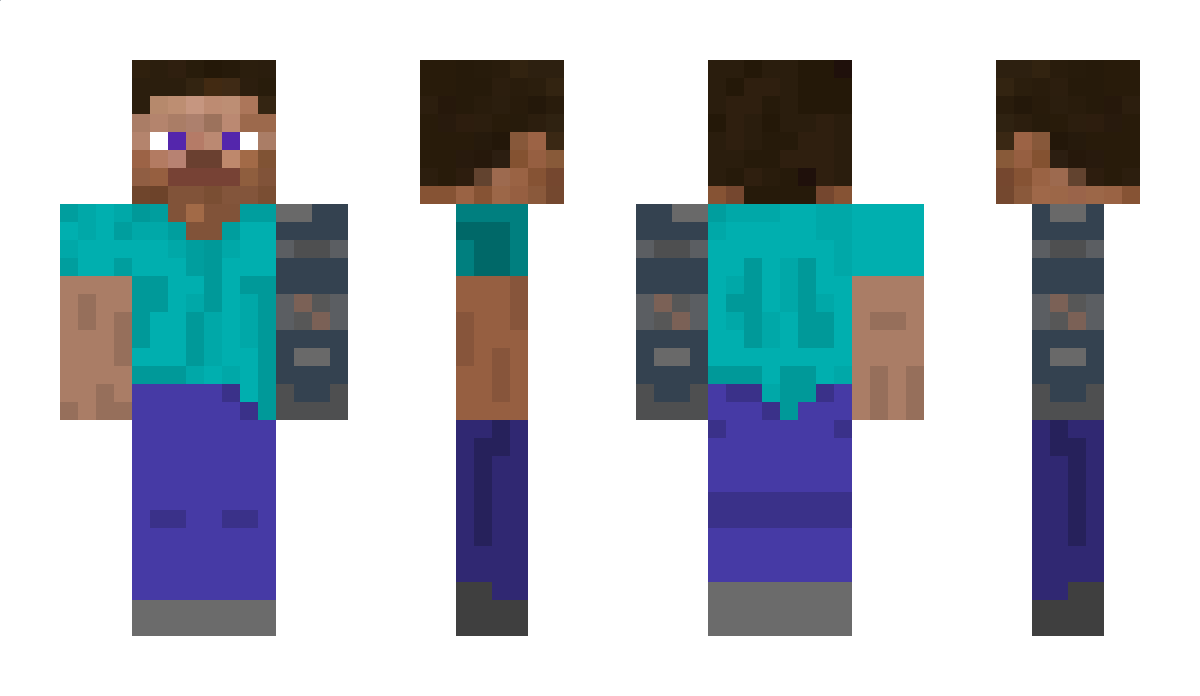 NICPLAYGO010 Minecraft Skin