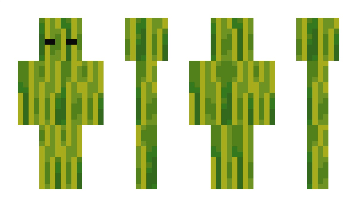 B316 Minecraft Skin