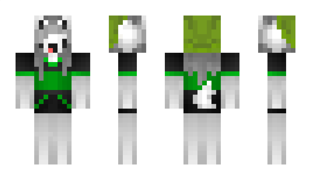 Temminator Minecraft Skin