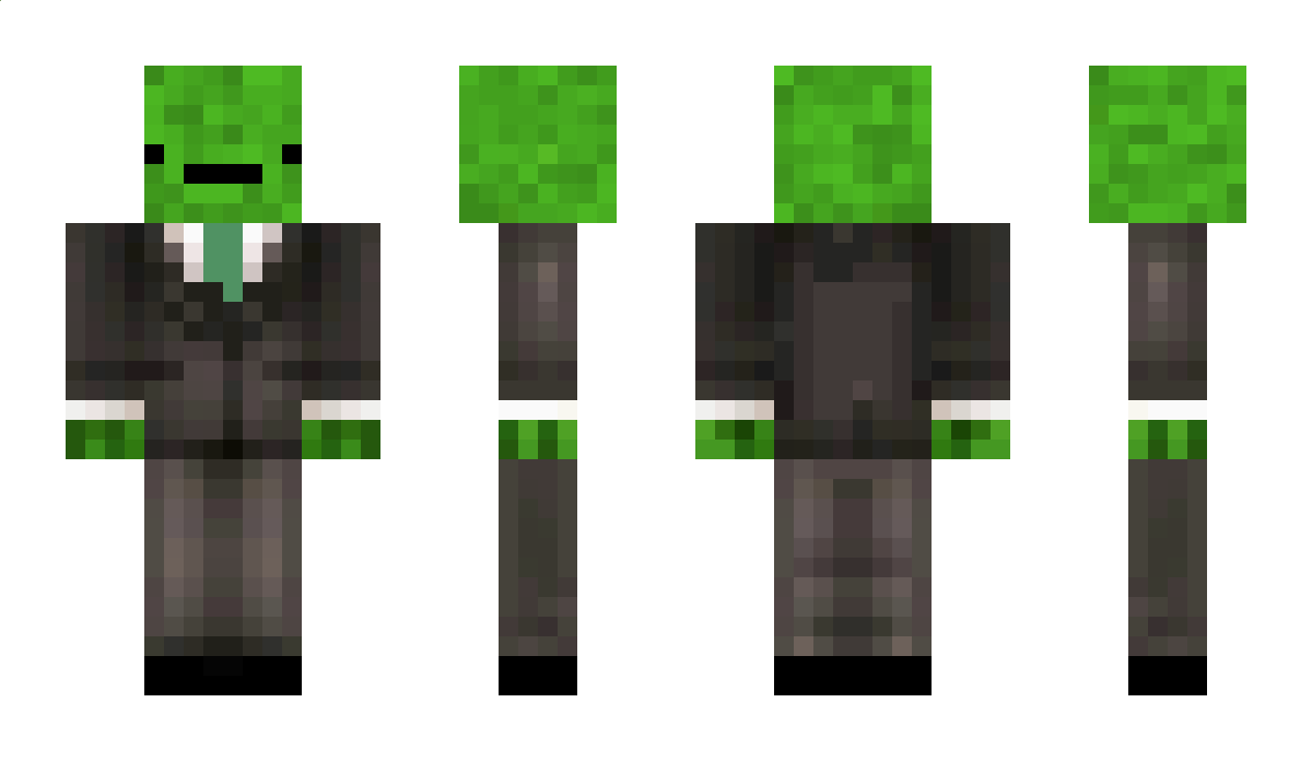 TurttleLord9206 Minecraft Skin