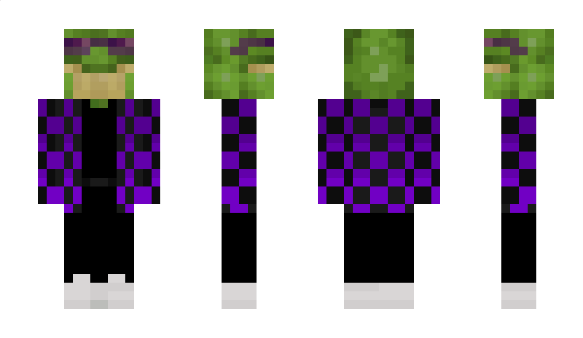 _Zoidy_ Minecraft Skin