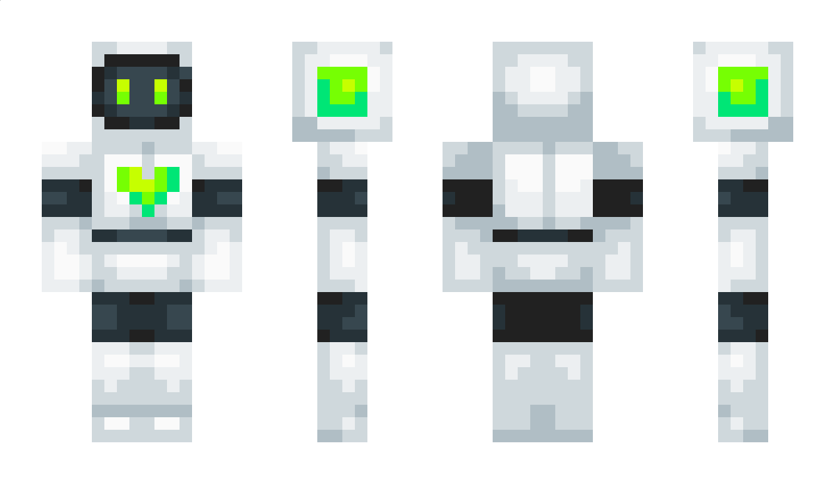 shadybug Minecraft Skin