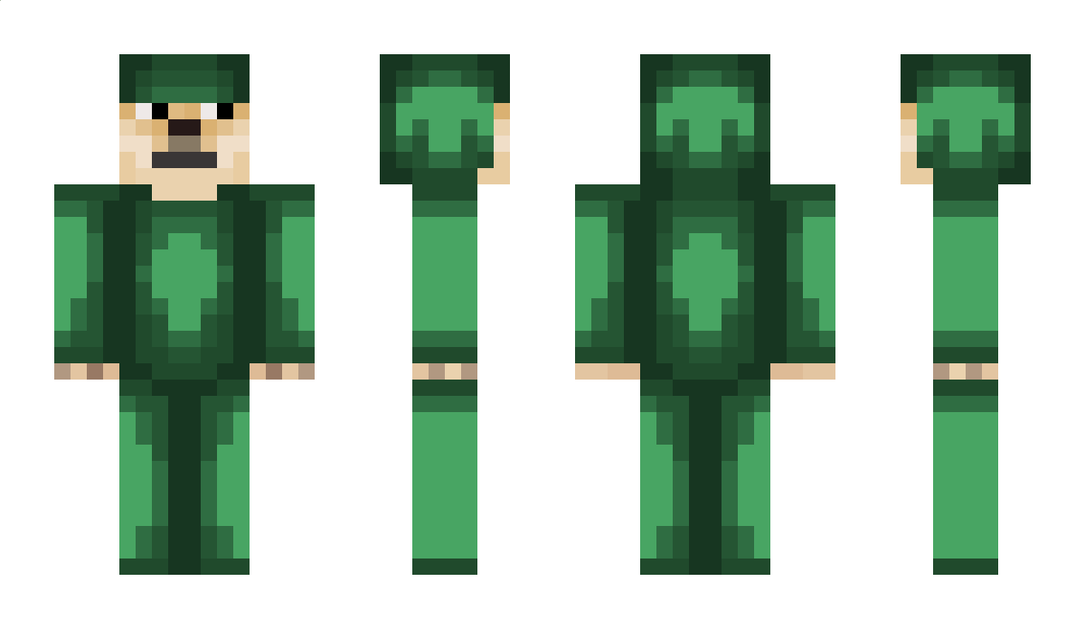 AntiCausa Minecraft Skin