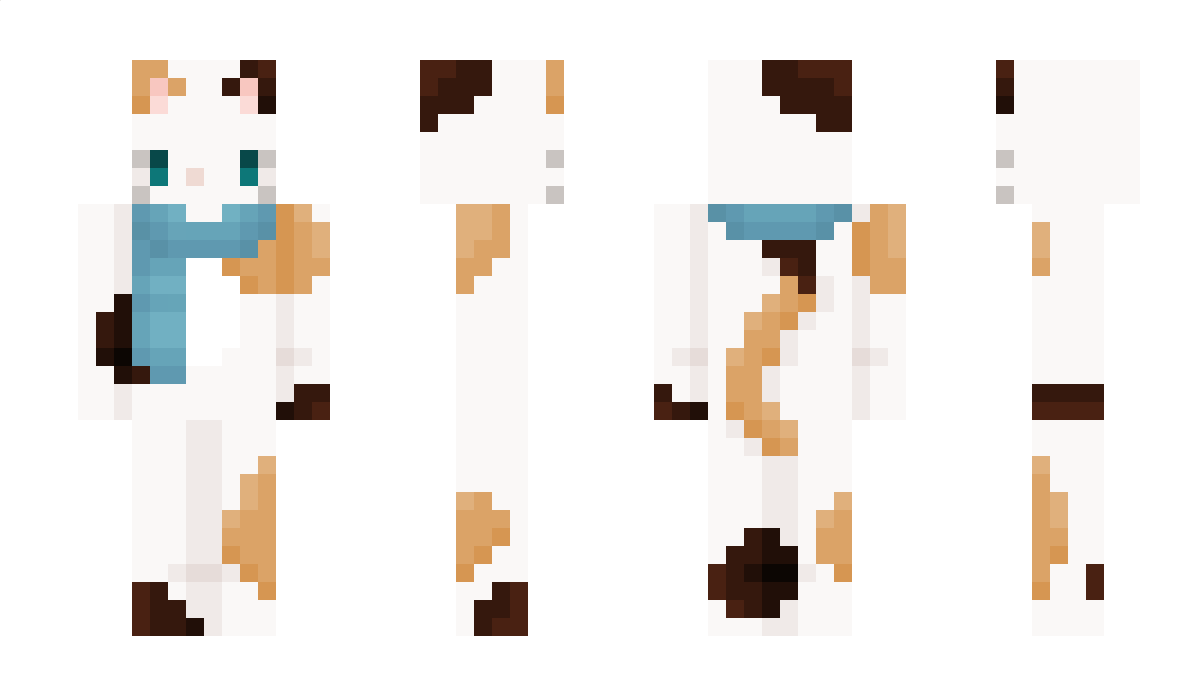 catsky45 Minecraft Skin