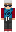 WizTheQweefer Minecraft Skin