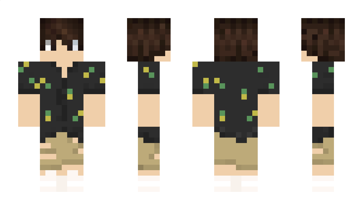 Videophile Minecraft Skin