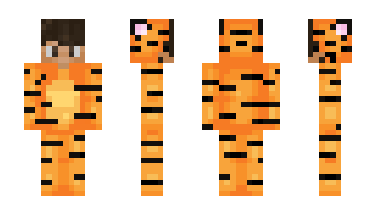 Tiger3gamer Minecraft Skin