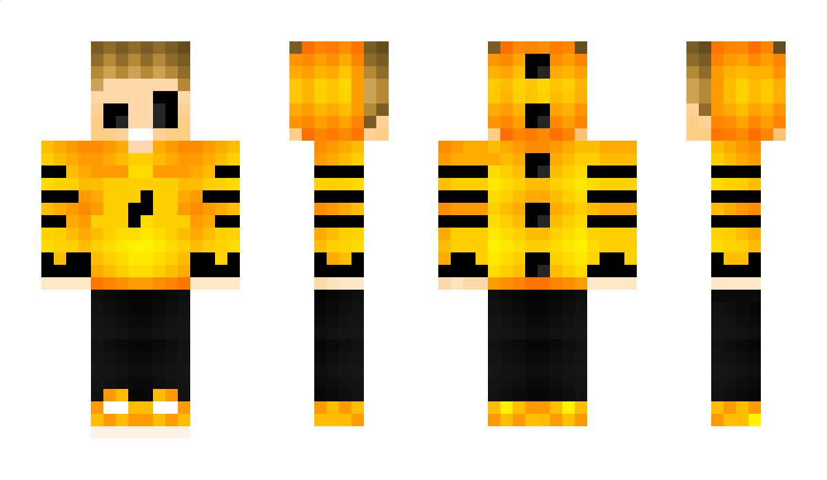 Error13 Minecraft Skin