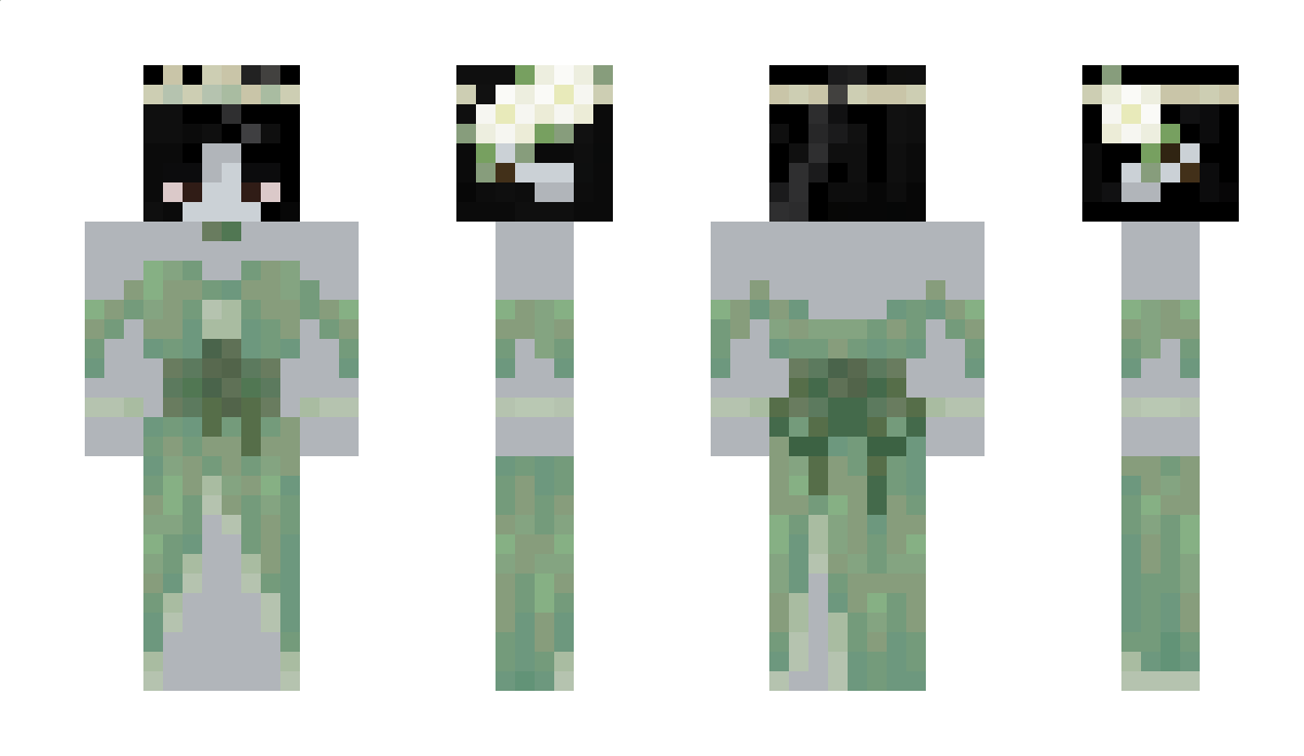 Nitsaaa Minecraft Skin