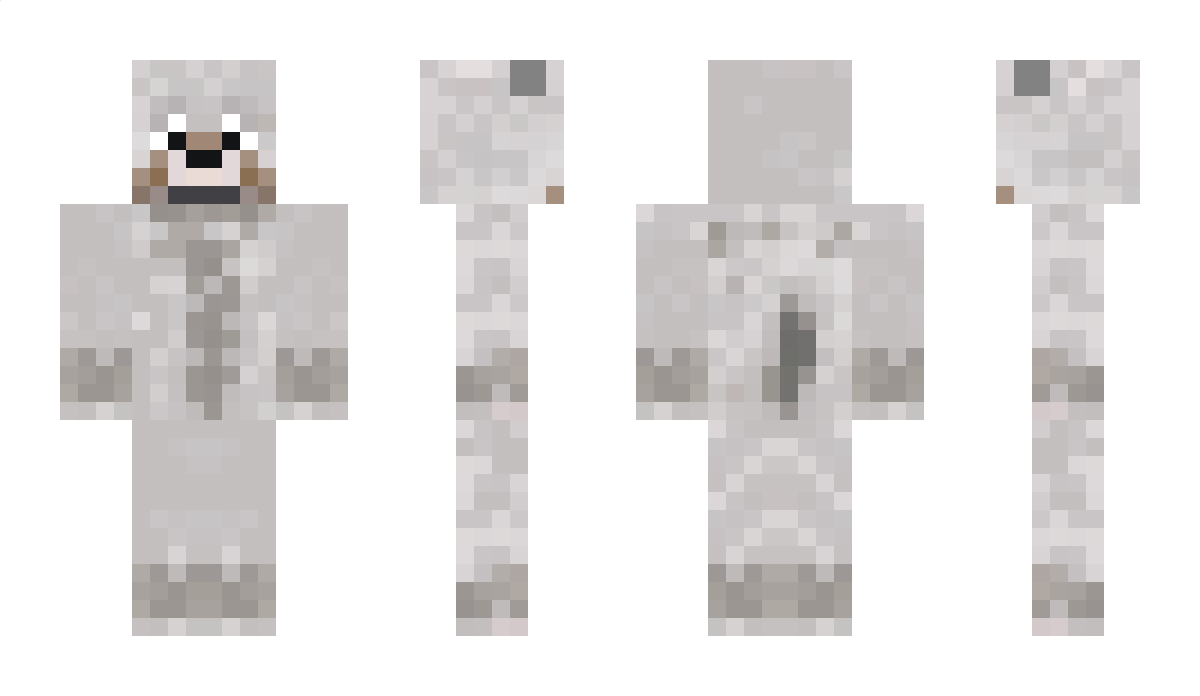 CraftDynasty Minecraft Skin