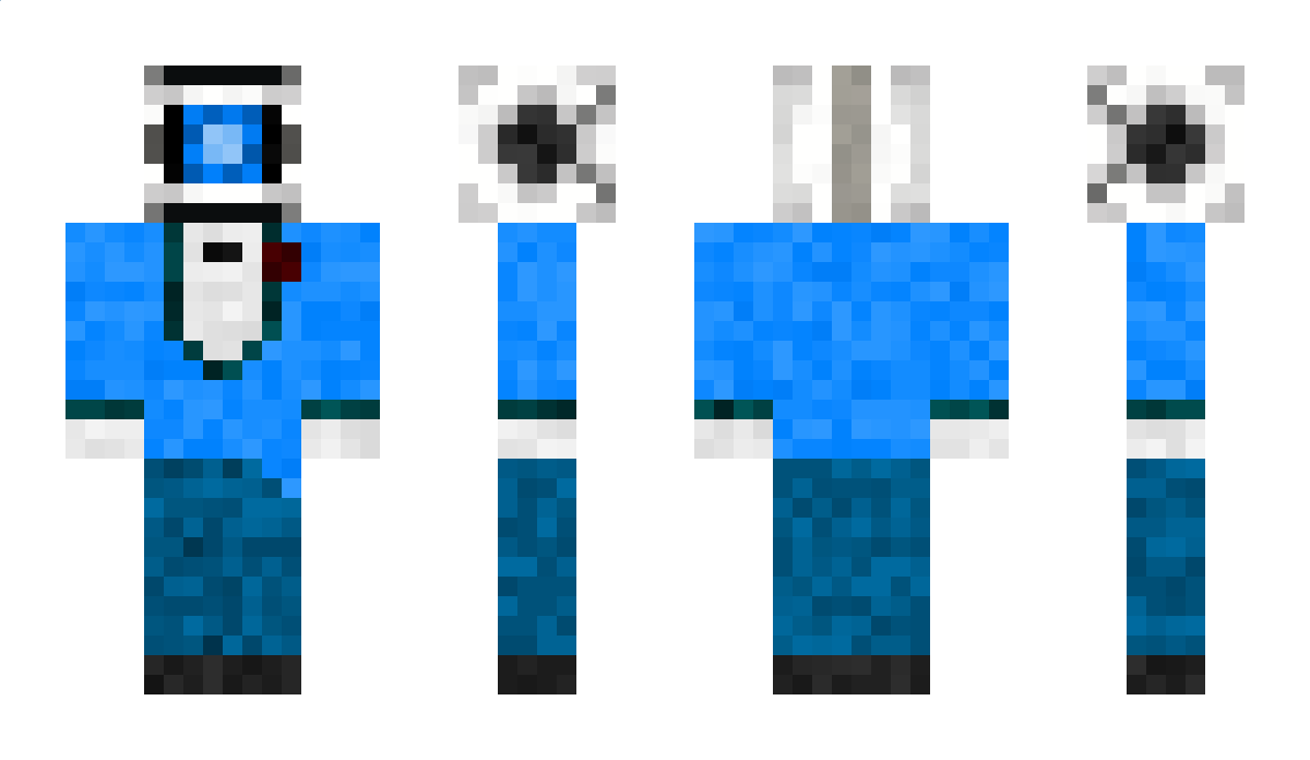 endrcat537 Minecraft Skin