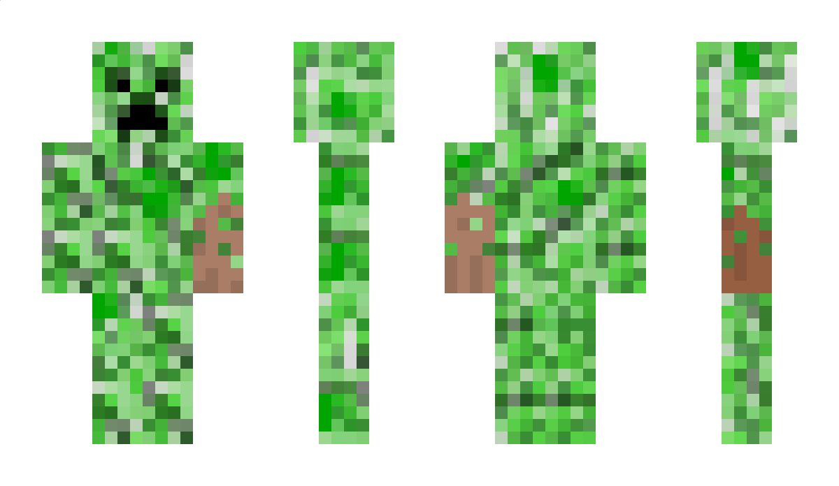 872 Minecraft Skin