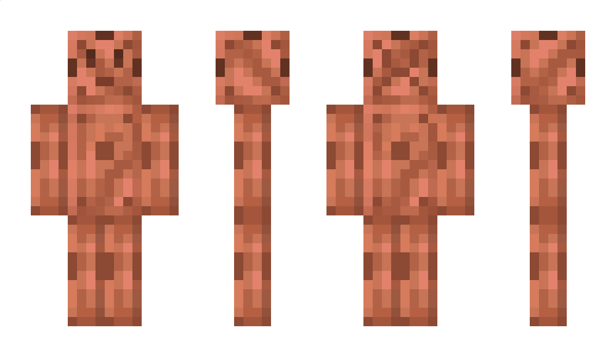 Copper_Block Minecraft Skin