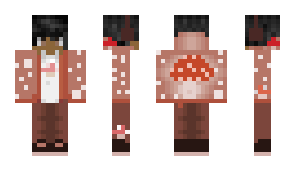 jrb_arts Minecraft Skin