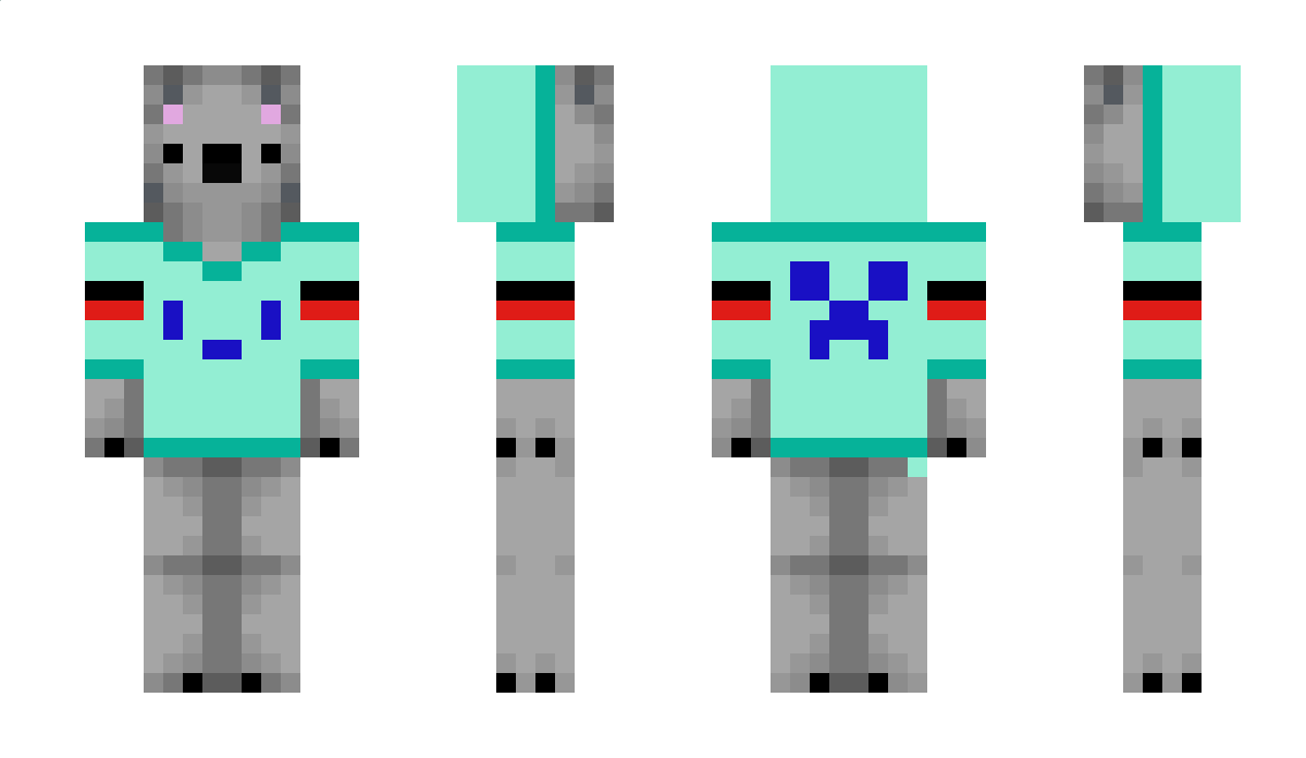 thekoalaguy Minecraft Skin