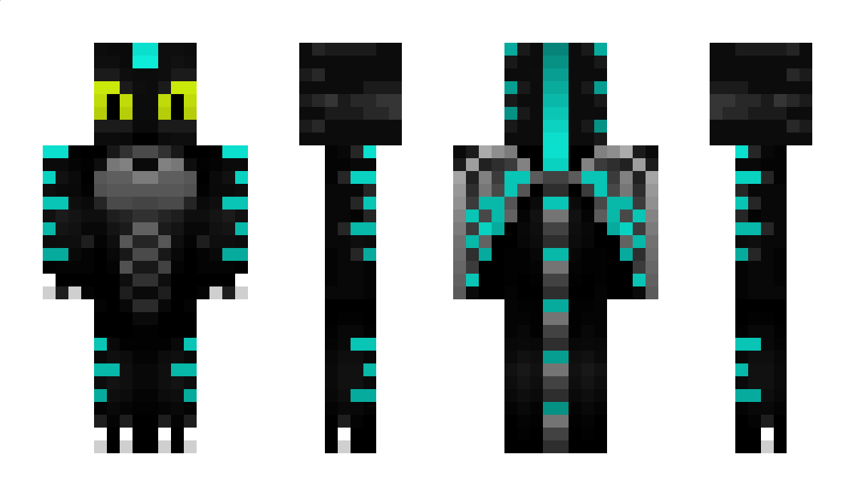 NightFuryTimo Minecraft Skin